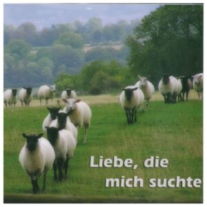 LIEBE, DIE MICH SUCHTE