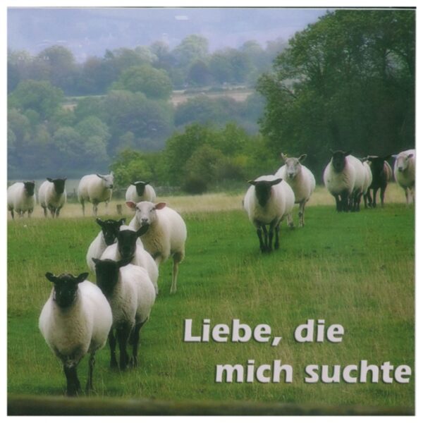 LIEBE, DIE MICH SUCHTE